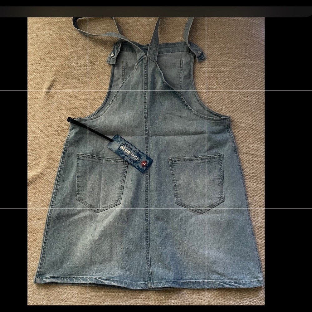Blue Spice - Women’s mini skirt, Overall Style